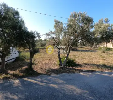 住宅 563m<sup>2</sup> for sale photo 2