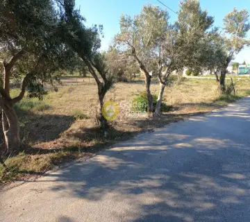 住宅 563m<sup>2</sup> for sale photo 3