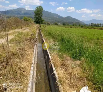 Residential 8000m<sup>2</sup> for sale photo 3