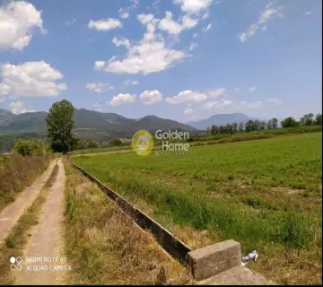 Residential 8000m<sup>2</sup> for sale photo 5