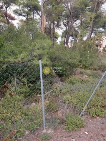 Residential 1000m<sup>2</sup> for sale photo 4