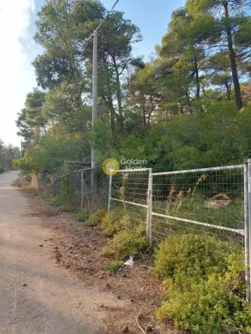 Residential 1000m<sup>2</sup> for sale photo 6