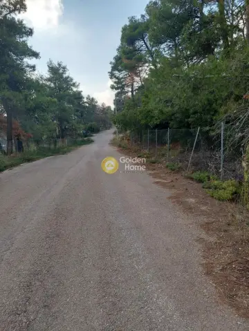 Residential 1000m<sup>2</sup> for sale photo 2