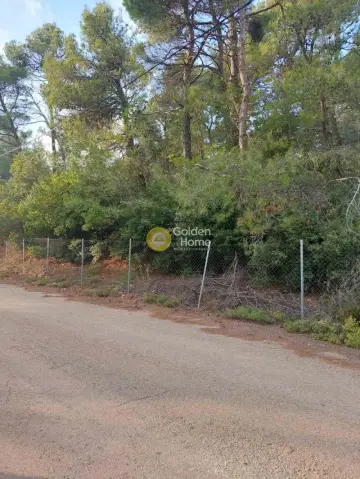 Residential 1000m<sup>2</sup> for sale photo 8