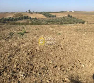 土地 4440m<sup>2</sup> for sale photo 3