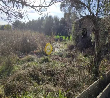 Parcel 11000m<sup>2</sup> for sale photo 3399954