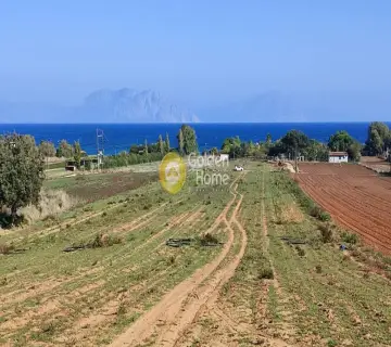 Parcel 12000m<sup>2</sup> for sale photo 2