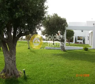 Golden Home Property Image