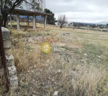 住宅 1380m<sup>2</sup> for sale photo 3