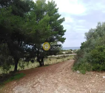 Area 2800m<sup>2</sup> for sale photo 24