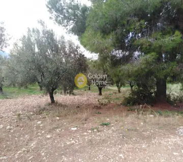 Area 2800m<sup>2</sup> for sale photo 25