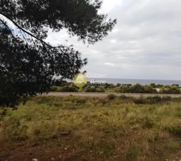 Area 2800m<sup>2</sup> for sale photo 10