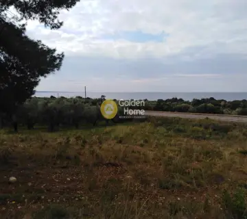 Area 2800m<sup>2</sup> for sale photo 3
