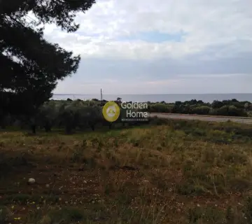 Area 2800m<sup>2</sup> for sale photo 2
