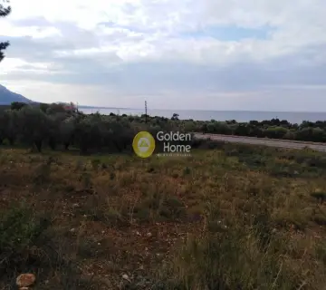 Area 2800m<sup>2</sup> for sale photo 4