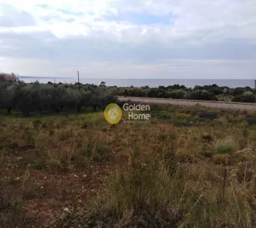 Area 2800m<sup>2</sup> for sale photo 11