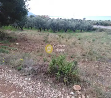 Area 2800m<sup>2</sup> for sale photo 22