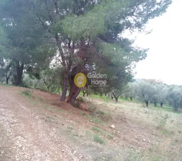 Area 2800m<sup>2</sup> for sale photo 27
