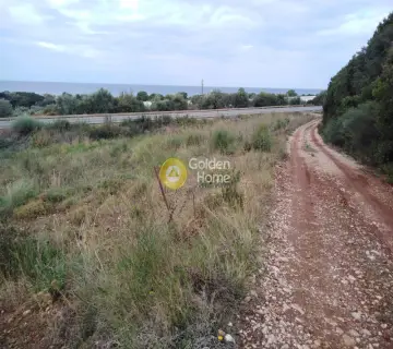 Area 2800m<sup>2</sup> for sale photo 20