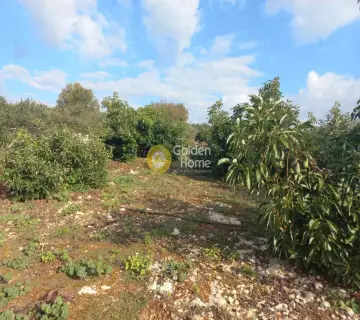 Residential 9700m<sup>2</sup> for sale photo 10