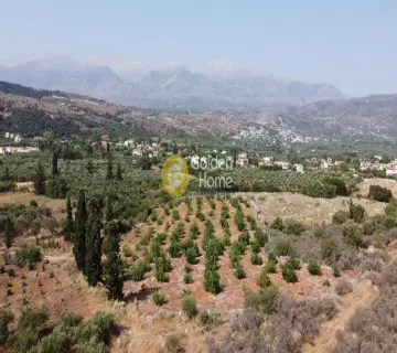 Residential 9700m<sup>2</sup> for sale photo 2