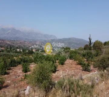 Residential 9700m<sup>2</sup> for sale photo 3