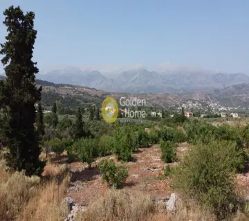 Golden Home Property Image