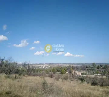 Οικιστικό 8000τ.μ. προς πώληση φωτογραφία 2