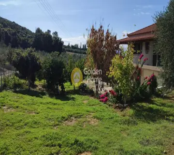 Golden Home Property Image