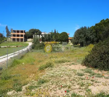 Οικιστικό 938τ.μ. προς πώληση φωτογραφία 6