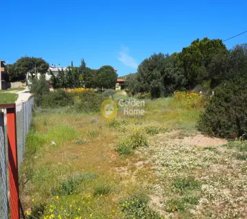 Οικιστικό 938τ.μ. προς πώληση φωτογραφία 3