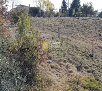 Residential 11500m<sup>2</sup> for sale photo 3403075