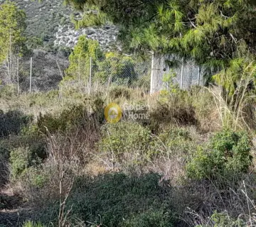 Residential 11500m<sup>2</sup> for sale photo 3403074