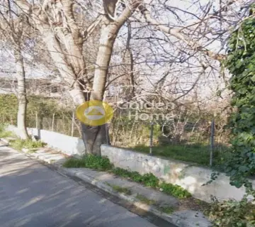 Επαγγελ. Οικόπεδο 900τ.μ. προς ενοικίαση φωτογραφία 1