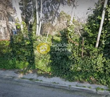 Επαγγελ. Οικόπεδο 900τ.μ. προς ενοικίαση φωτογραφία 5