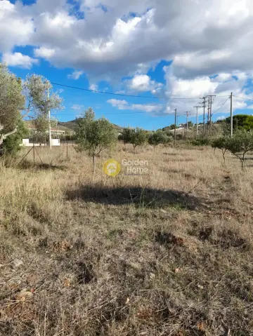 Parcel 2462m<sup>2</sup> for sale photo 3