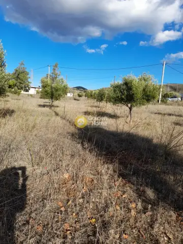 Parcel 2462m<sup>2</sup> for sale photo 4
