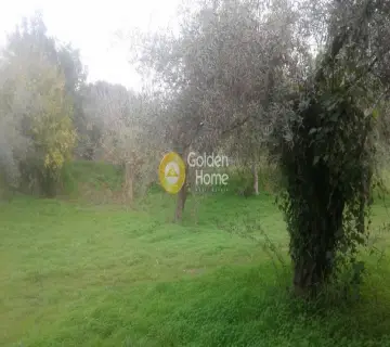 Parcel 4061m<sup>2</sup> for sale photo 3693762