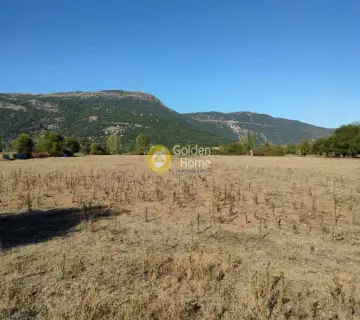 Professional Plot 24000m<sup>2</sup> for sale photo 3412859