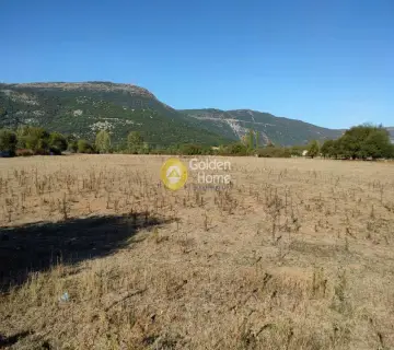 Professional Plot 5000m<sup>2</sup> for sale photo 2
