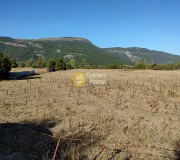 Professional Plot 5000m<sup>2</sup> for sale photo 11