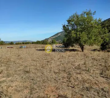 Professional Plot 5000m<sup>2</sup> for sale photo 16