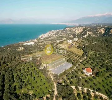 Golden Home Property Image