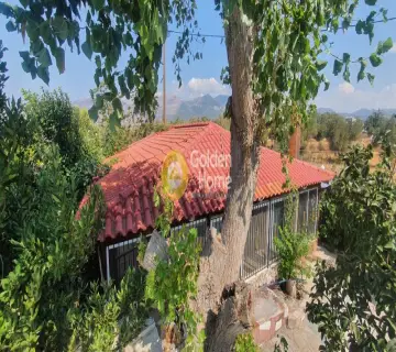 Golden Home Property Image