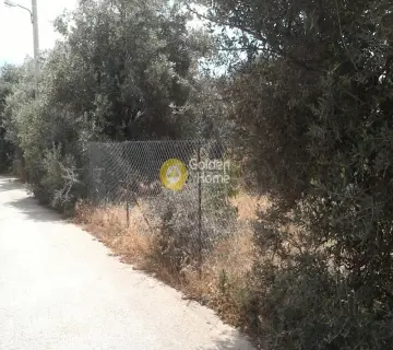 Parcel 520m<sup>2</sup> for sale photo 3