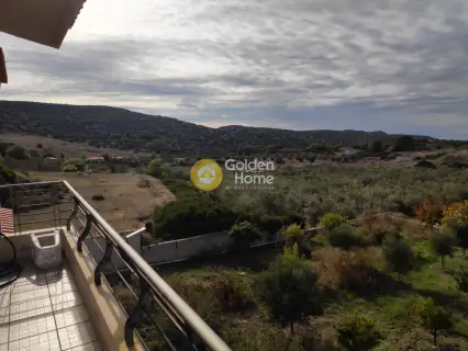 独立复式小屋 220m<sup>2</sup> for sale photo 24