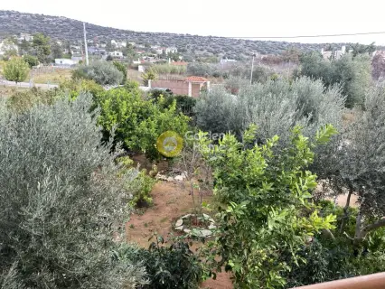 独立复式小屋 230m<sup>2</sup> for sale photo 2