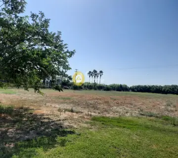 Professional Plot 14100m<sup>2</sup> for sale photo 4