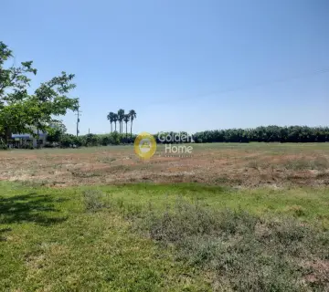Professional Plot 14100m<sup>2</sup> for sale photo 5