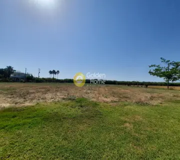 Professional Plot 14100m<sup>2</sup> for sale photo 7